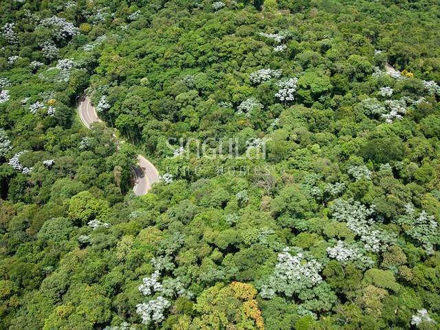 #323 - Terreno em condomínio para Venda em Santana de Parnaíba - SP - 3